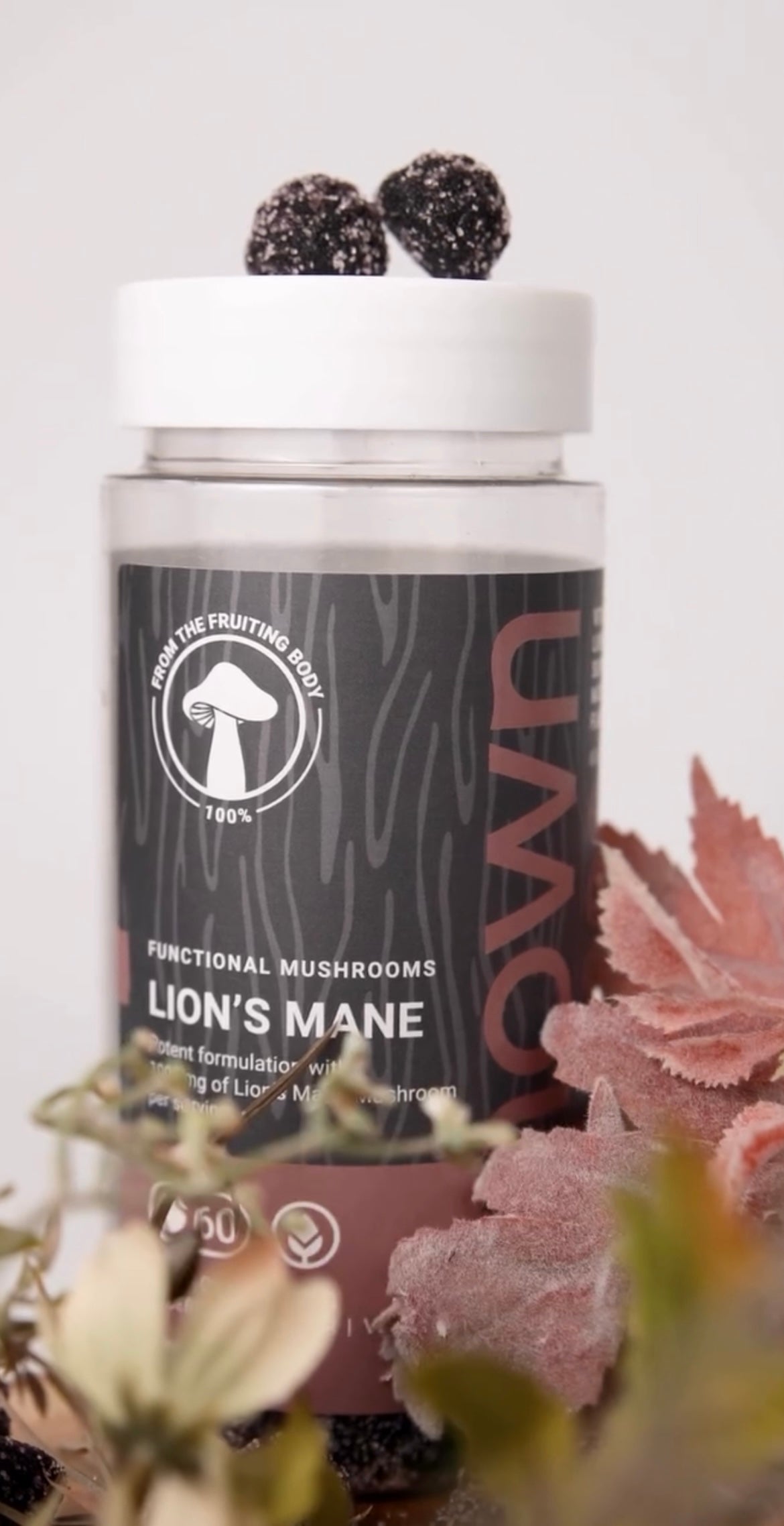 Lion’s Mane gummies