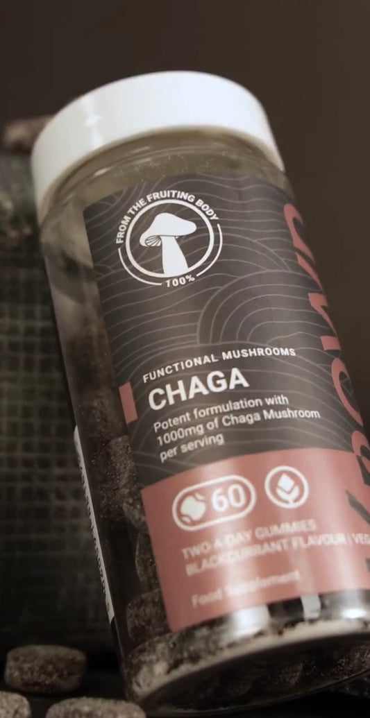 Chaga Gummies - Saveur cassis