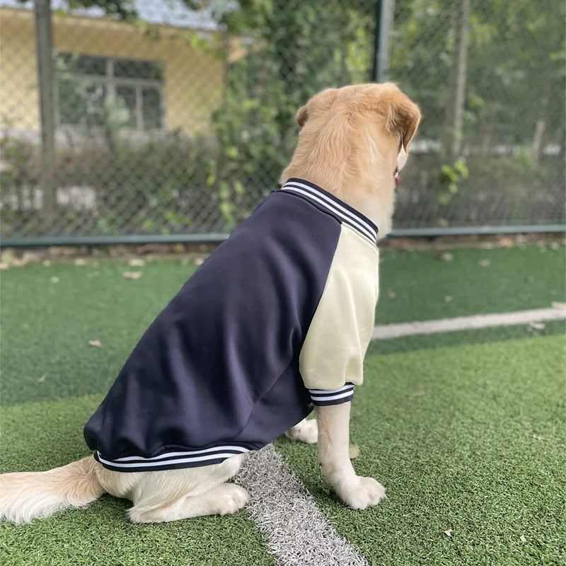 Bombers en cuir pour chien