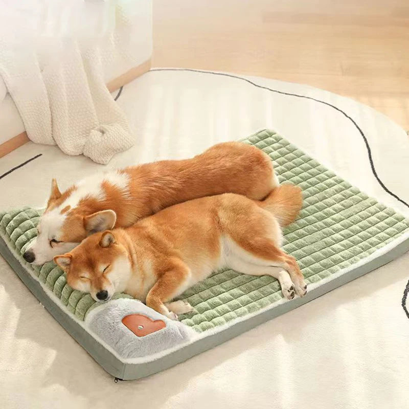 Matelas design pour chien et chat