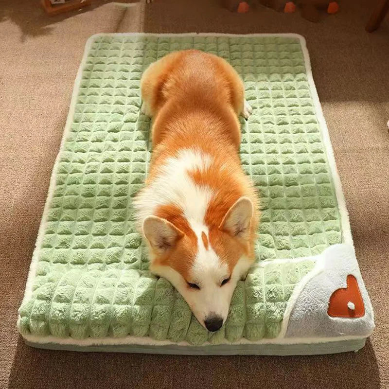 Matelas design pour chien et chat