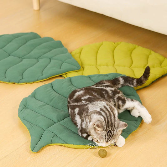 Matelas feuille pour chat