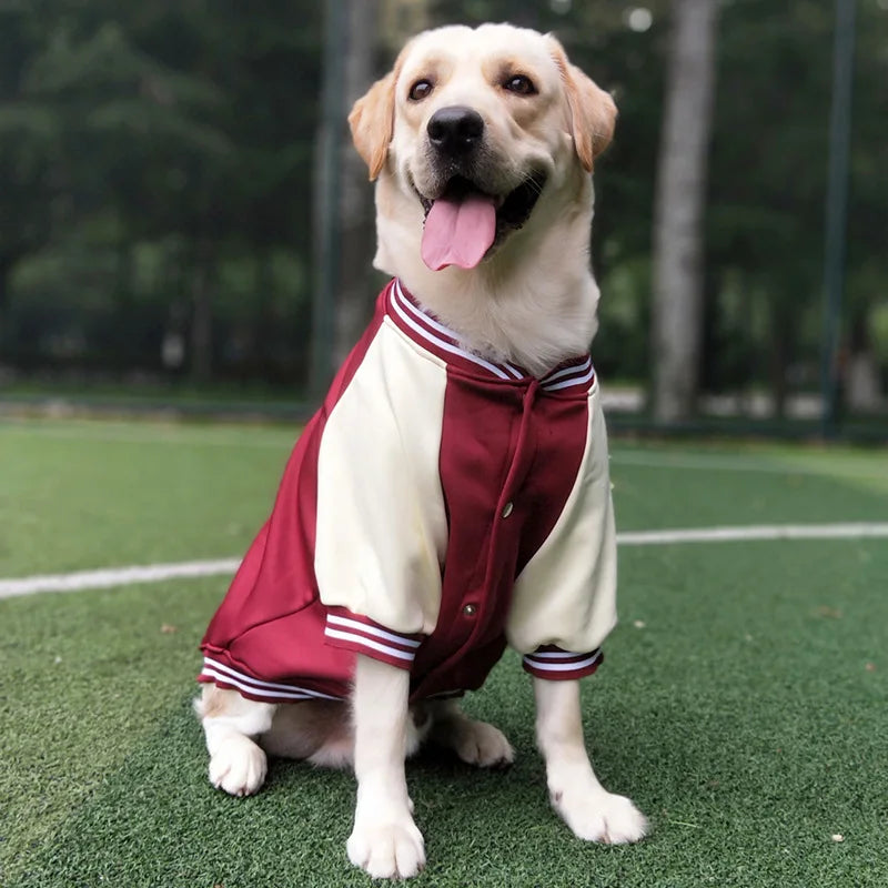 Bombers en cuir pour chien