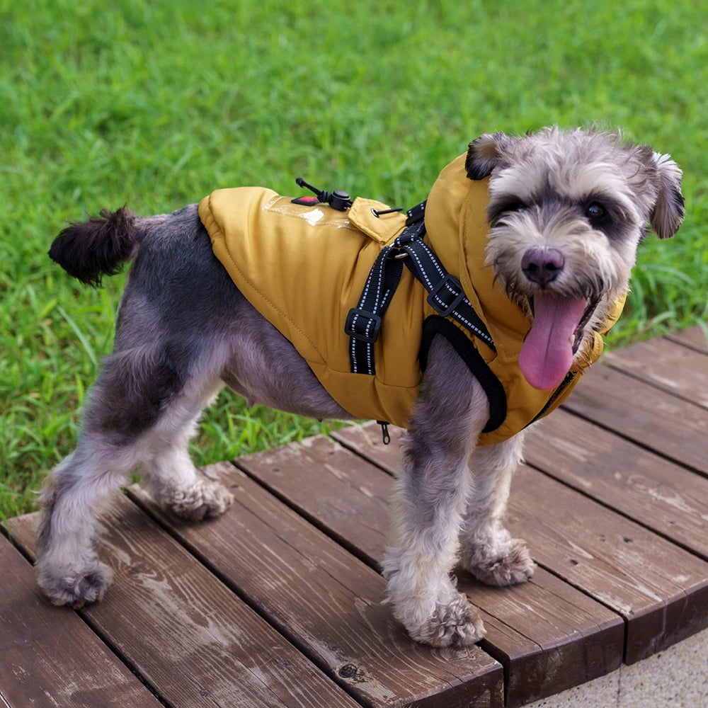 Veste harnais pour chien