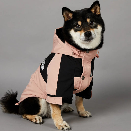 Manteau streetwear pour chien