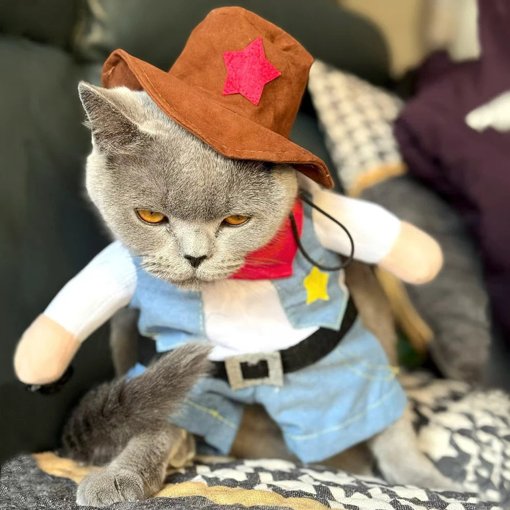 Costume de cowboy pour chat