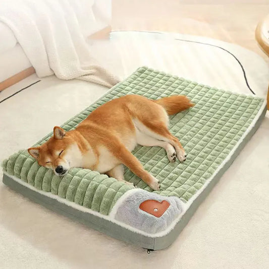 Matelas design pour chien et chat