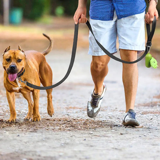 Laisse pour chien réfléchissante