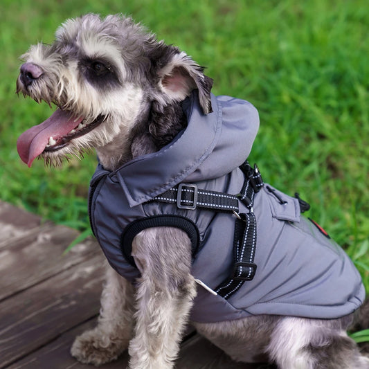 Veste harnais pour chien