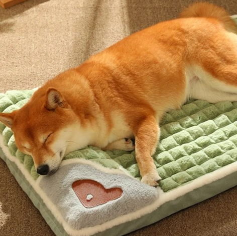 Matelas design pour chien et chat