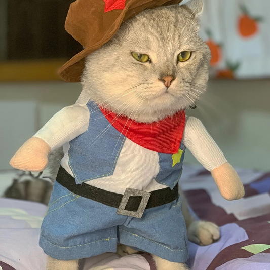 Costume de cowboy pour chat