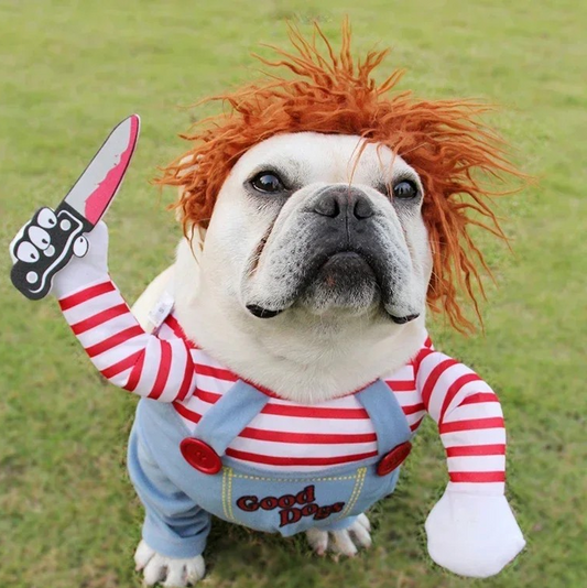 Costume de Chucky pour chien et chat